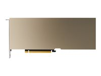 NVIDIA A30 - GPU-beregningsprosessor - A30 - 24 GB HBM2 - PCIe 4.0 x16 - uten vifte TCSA30M-PB