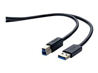 Belkin - USB-kabel - USB Type B (hann) til USB-type A (hann) - USB 3.0 - 1.8 m - formstøpt F3U159CP1.8M-P
