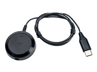 Jabra Evolve 30 II UC stereo - Hodesett - on-ear - kablet - 3,5 mm jakk, USB-C 5399-829-389