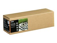 Epson Fine Art - Bomull - matt - 515 mikroner - lys - Rull (43,2 cm x 15 m) - 300 g/m² - 1 rull(er) finkunst teksturert bildeklutepapir - for SureColor SC-P20000, SC-P5000, SC-P6000, SC-P7000, SC-P800, SC-P8000, SC-P900, SC-P9000 C13S450284