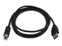 StarTech.com - USB-kabel - TAA-samsvar - USB (hann) til USB-type B (hann) - USB 2.0 SKUSBAB10-TAA