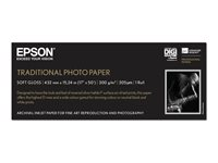 Epson Traditional Photo Paper - Rull (43,2 cm x 15 m) - 300 g/m² - fotopapir - for SureColor P5000, P800, SC-P10000, P20000, P5000, P7500, P900, P9500 C13S045054