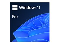 Windows 11 Pro - Lisens - 1 lisens - ESD - 64-bit, National Retail - All Languages FQC-10572