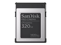 SanDisk PRO-CINEMA - Flashminnekort - 320 GB - CFexpress Type B SDCFEC-320G-GN4NN