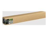 Epson Fine Art II - Bomull - matt - 490 mikroner - jevn klarhet - Rull (111,8 cm x 15 m) - 300 g/m² - 1 rull(er) boks - klutepapir C13S450272NQ