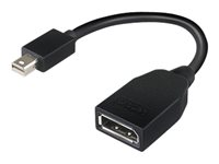 Lenovo - DisplayPort-adapter - Mini DisplayPort (hann) til DisplayPort (hunn) - 17.6 cm - for ThinkCentre M70; M75t Gen 2; M80; M90; ThinkStation P330 Gen 2; P34X; P350; P520; P620 4X90L13971