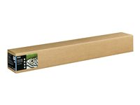 Epson Fine Art Hot Press Natural - Bomull - matt - 490 mikroner - Rull (111,8 cm x 15 m) - 300 g/m² - 1 rull(er) klutepapir - for SureColor SC-P20000, SC-P20000SE, SC-P8000, SC-P9000, SC-P9000V C13S450265