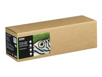 Epson Fine Art - Bomull - glatt matt - 490 mikroner - lys - Rull (43,2 cm x 15 m) - 300 g/m² - 1 rull(er) klutepapir - for SureColor SC-P20000, SC-P5000, SC-P6000, SC-P7000, SC-P800, SC-P8000, SC-P900, SC-P9000 C13S450270
