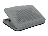 Targus Chill Mat - Notebookvifte - justerbart stativ - med 2 kjølevifter - 18" - grå AWE90GL