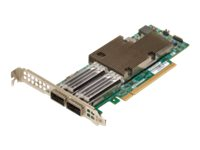 Broadcom NetXtreme E-Series P2100G - Nettverksadapter - PCIe 4.0 x16 lav profil - 100 Gigabit QSFP56 x 2 BCM957508-P2100G