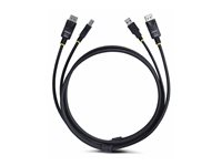 StarTech.com 10ft (3m) DisplayPort and USB 5Gbps KVM Cable - Tastatur / video / musekabel (KVM) - USB-type A, DisplayPort (hann) til USB Type B, DisplayPort (hann) - 3 m - 4K 60Hz støtte, HDR10-støtte - svart DU12210-KVM-CABLE