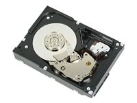 Dell - Harddisk - 4 TB - 3.5" - SATA - 7200 rpm - for PowerEdge T150 400-BLNW