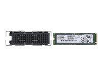 HP - SSD - 256 GB - intern - M.2 2280 - PCIe 3.0 x4 - for Workstation Z2 G5 141L7AA