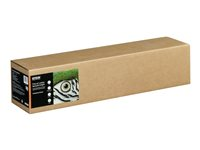 Epson Fine Art - Bomull - matt - 515 mikroner - lys - Rull (61 cm x 15 m) - 300 g/m² - 1 rull(er) finkunst teksturert bildeklutepapir - for SureColor SC-P20000, SC-P6000, SC-P7000, SC-P8000, SC-P9000 C13S450285