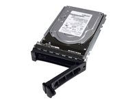 Dell - Harddisk - 2.4 TB - hot-swap - 2.5" i 3,5 tommer leder - SAS 12Gb/s - 10000 rpm - for PowerEdge C6420 (3.5") 401-ABHS