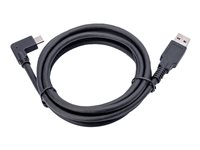 Jabra PanaCast - USB-kabel - 1.8 m - for PanaCast 50, 50 Room System 14202-09