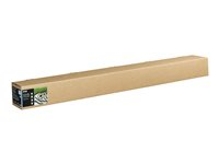 Epson Fine Art - Bomull - glatt matt - 490 mikroner - naturlig - Rull (162,6 cm x 15 m) - 300 g/m² - 1 rull(er) klutepapir - for SureColor SC-P20000, SC-P20000SE C13S450266