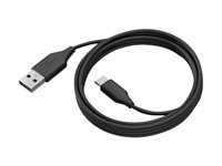 Jabra - USB-kabel - 24 pin USB-C (hann) til USB-type A (hann) - USB 3.0 - 2 m - for PanaCast 50, 50 Room System 14202-10