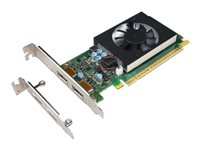 NVIDIA GeForce GT730 - Grafikkort - GF GT 730 - 2 GB GDDR5 - PCIe 2.0 x8 lav profil - DisplayPort - for ThinkCentre M710; M715; M720; M75t Gen 2; M910; M920; V530-15 4X60M97031