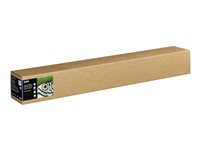 Epson Fine Art - Bomull - matt - 515 mikroner - naturlig teksturert - Rull (61 cm x 15 m) - 300 g/m² - 1 rull(er) klutepapir - for SureColor SC-P20000, SC-P20000SE, SC-P8000, SC-P9000, SC-P9000V C13S450279