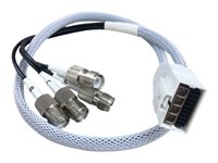 Cisco - Antennekabel - RP-TNC til RF-kontakt DART - 61 cm - koaksial - for Aironet 2802E, 2802E (Config), 2802I, 2802I (Config), 3802E, 3802I, 3802I (Config), 3802P AIR-CAB002-DART-R=