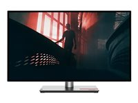 Lenovo ThinkVision P27q-30 - LED-skjerm - QHD - 27" 63A2GAT1EU