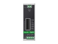 Schneider Electric Easy UPS - UPS (DIN-skinnemonterbar) - 10A - DC 24 V - 240 watt - uten batteri - utgangskontakter: 1 - metallgrå BVS240XDPDR