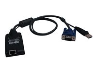 Eaton Tripp Lite Series USB Server Interface Module for B064- Series KVM Switches - KVM-utvider - opp til 50 m - for P/N: B064-016-02-IPH, B064-016-04-IPH, B064-032-01-IPH, B064-032-02-IPH, B064-032-04-IPH B055-001-USB