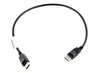Lenovo - DisplayPort-kabel - DisplayPort (hann) til DisplayPort (hann) - 0.5 m - for ThinkCentre M75t Gen 2; M80s Gen 3; M90a Gen 3; M90q Gen 2; M90t Gen 3; ThinkCentre neo 70 0B47396