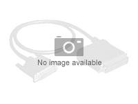 Fujitsu - SAS ekstern kabel - 26-pin 4x Shielded Mini MultiLane SAS (SFF-8088) til 26-pin 4x Shielded Mini MultiLane SAS (SFF-8088) - 2 m - for PRIMECENTER M1 S26361-F3246-L202